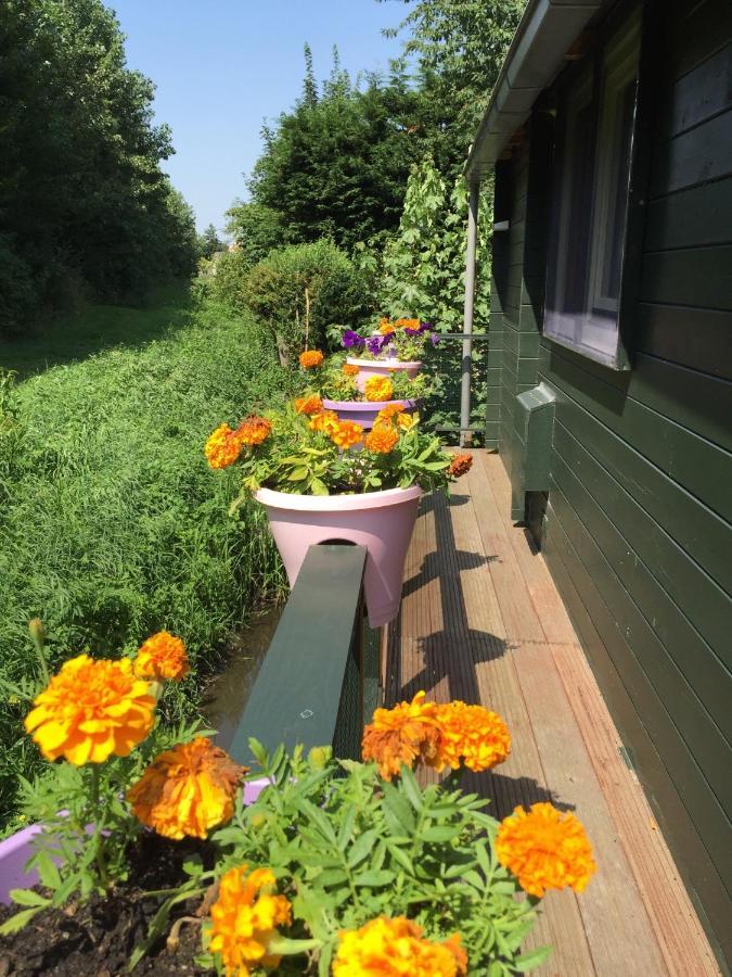 Villa Gardenhouse Mariposa à Badhoevedorp Extérieur photo